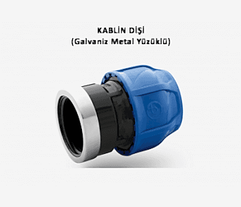 KABLİN DİŞİ