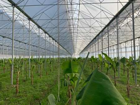 7 Arya Greenhouse Systems