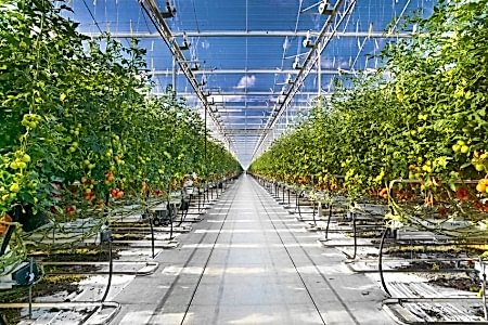 6 Arya Greenhouse Systems