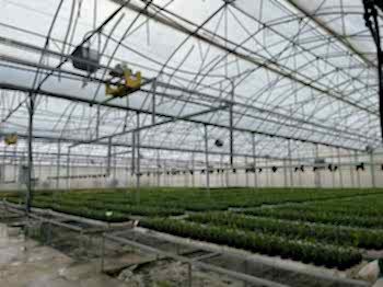 Система Орошения Boom Arya Greenhouse Systems