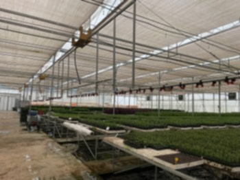 Система Орошения Boom Arya Greenhouse Systems