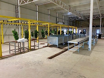 service image