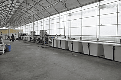 service image